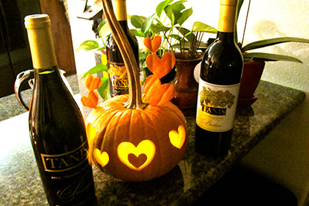 Beautiful Fall Vineyard Photos - Tanis Vineyards Winery